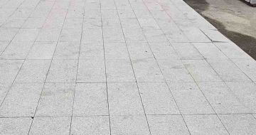 泰州芝麻白地铺案例