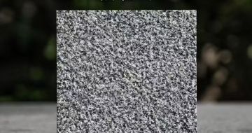 泰州 芝麻黑荔枝面