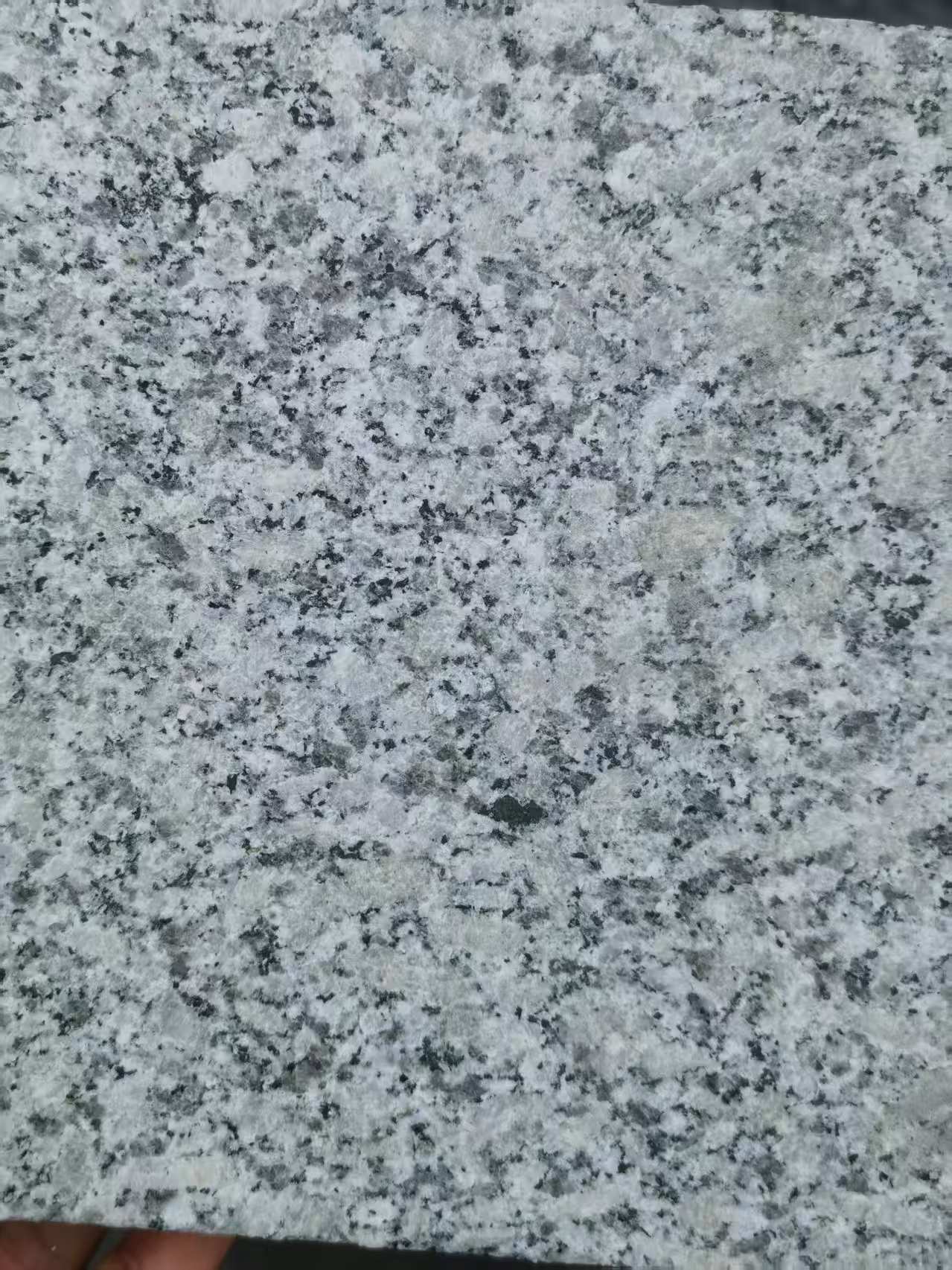 泰州 芙蓉白火烧面