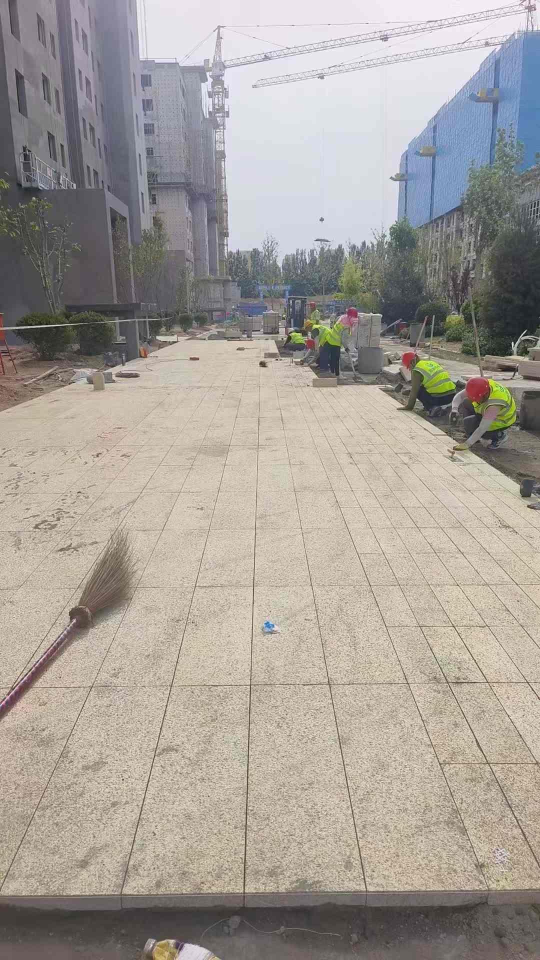 泰州黄金麻荔枝面地铺案例