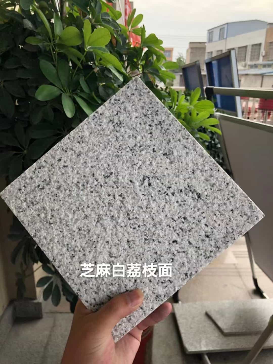 泰州 芝麻白荔枝面干挂